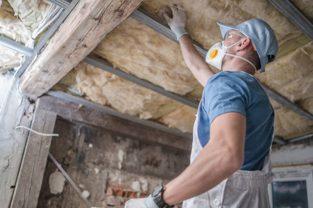 Best Attic Insulation Installation  in Renovo, PA