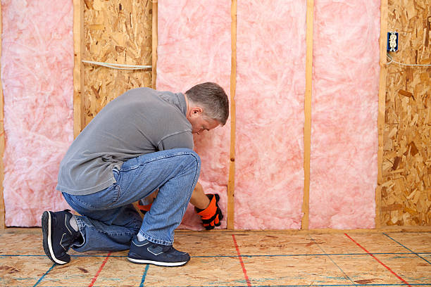 Best Residential Insulation Services  in Renovo, PA
