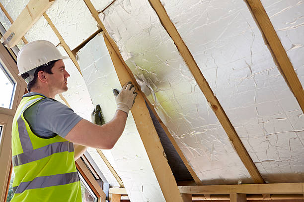 Best Cellulose Insulation  in Renovo, PA